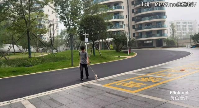 Female Thief Breaks into Home – Shen Qiao