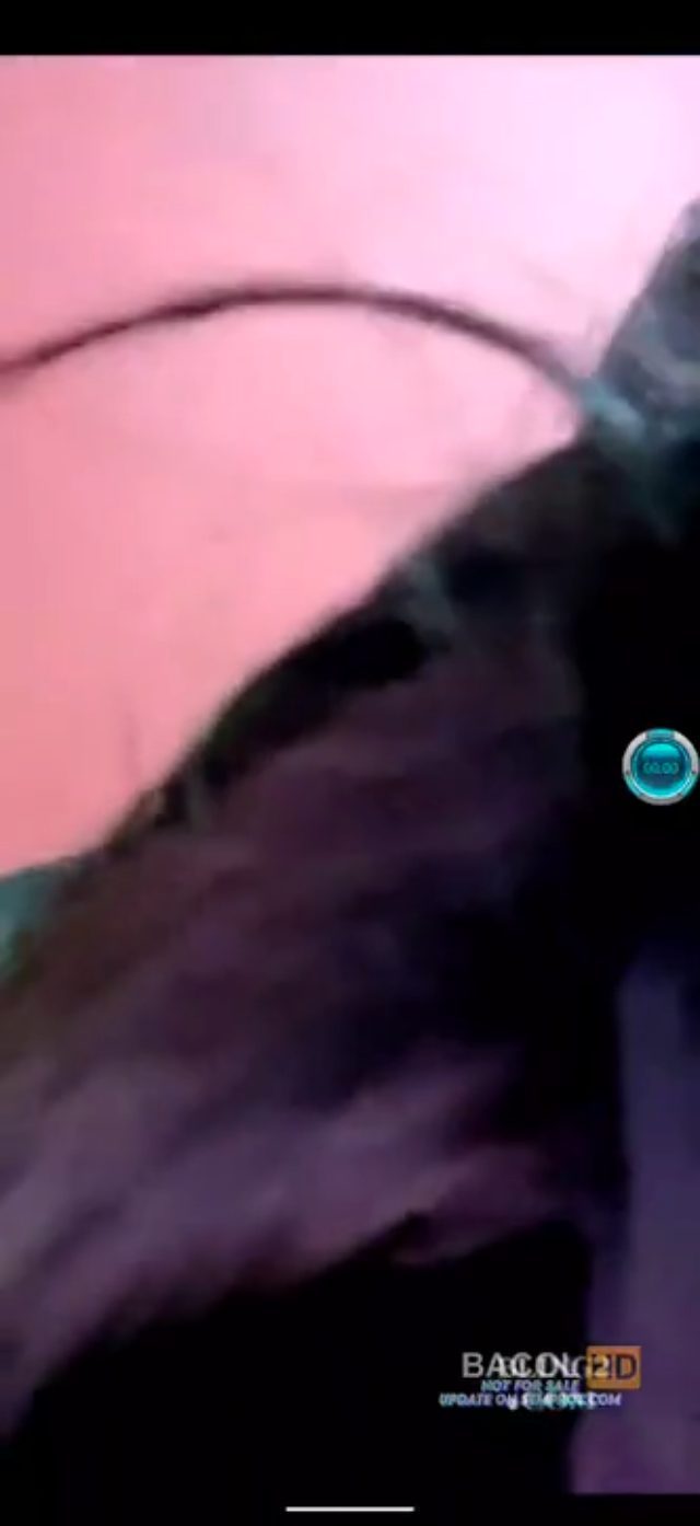 Tante Feby 4some Sama Brondong @layarasia21.online